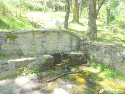 Cerro de la Cabeza y Puerto de la Cruz Verde; caminatas sierra madrid rutas de senderismo comunidad 